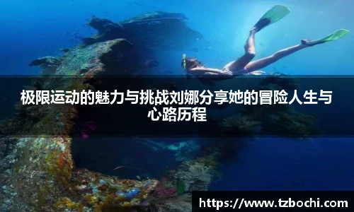 ks凯时官网